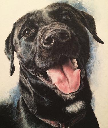 Mixed media: Watercolor, charcoal and chalk pastel